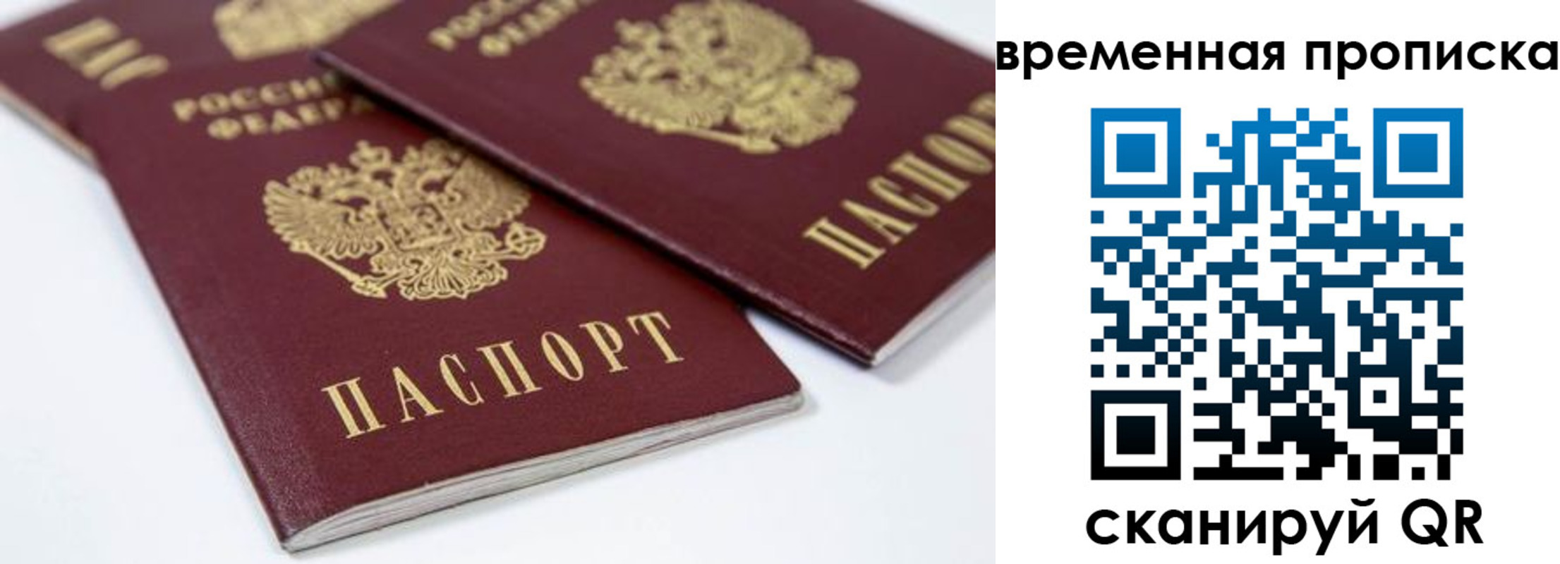 прописка для школы в Реутове